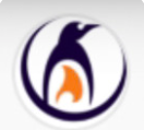 Penguin Engineering Srl logo